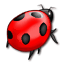 GRZYBOBRANIE